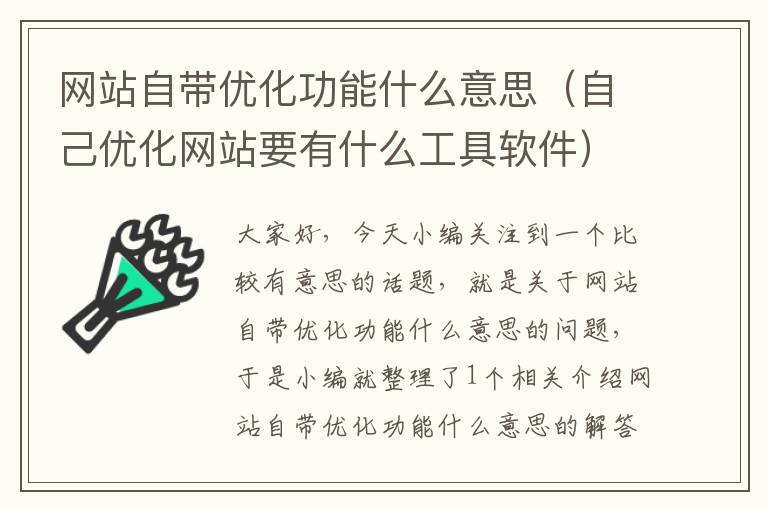 网站自带优化功能什么意思（自己优化网站要有什么工具软件）