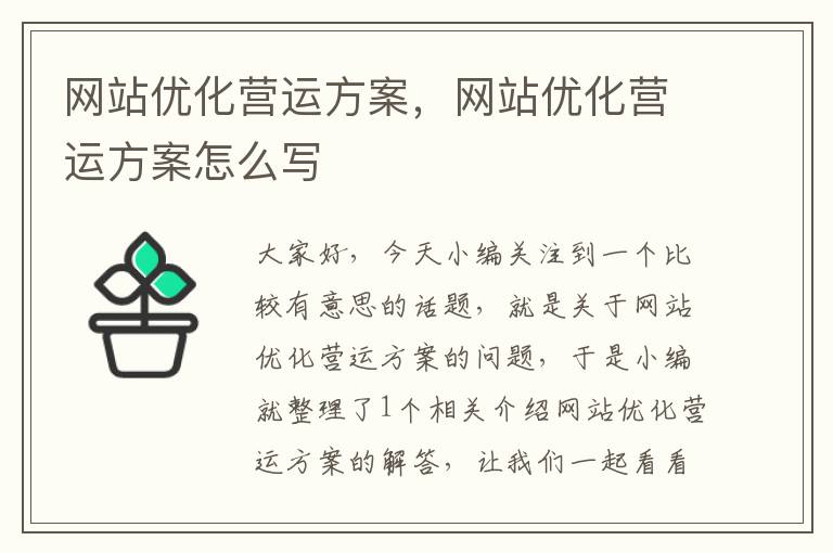 网站优化营运方案，网站优化营运方案怎么写