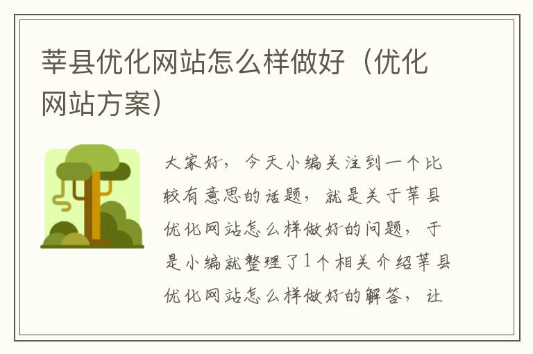 莘县优化网站怎么样做好（优化网站方案）