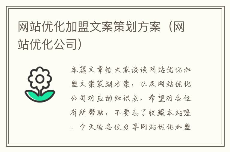 网站优化加盟文案策划方案（网站优化公司）