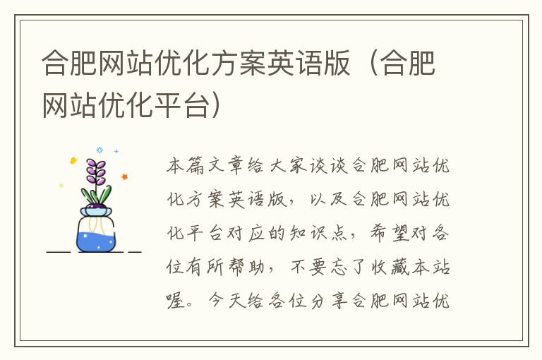 合肥网站优化方案英语版（合肥网站优化平台）