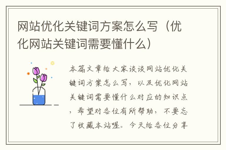 网站优化关键词方案怎么写（优化网站关键词需要懂什么）