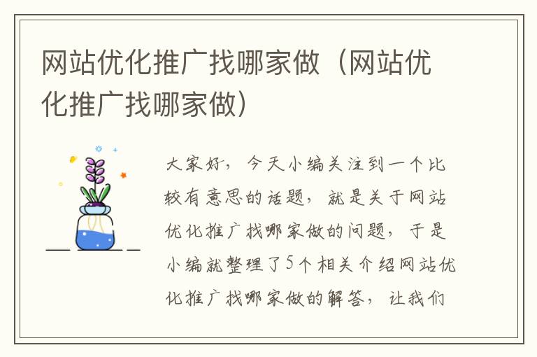 网站优化推广找哪家做（网站优化推广找哪家做）