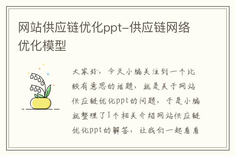 网站供应链优化ppt-供应链网络优化模型