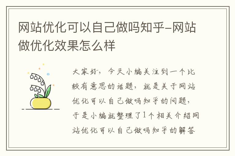 网站优化可以自己做吗知乎-网站做优化效果怎么样