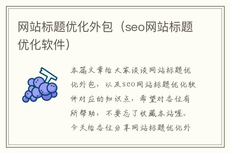 网站标题优化外包（seo网站标题优化软件）