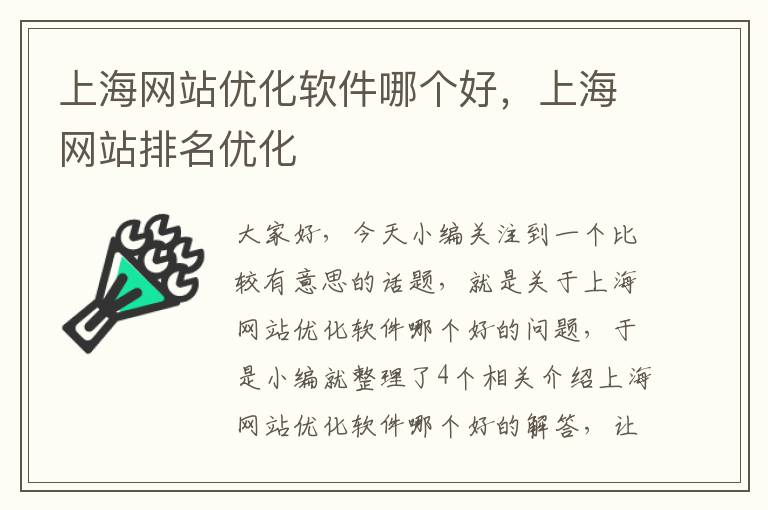 上海网站优化软件哪个好，上海网站排名优化