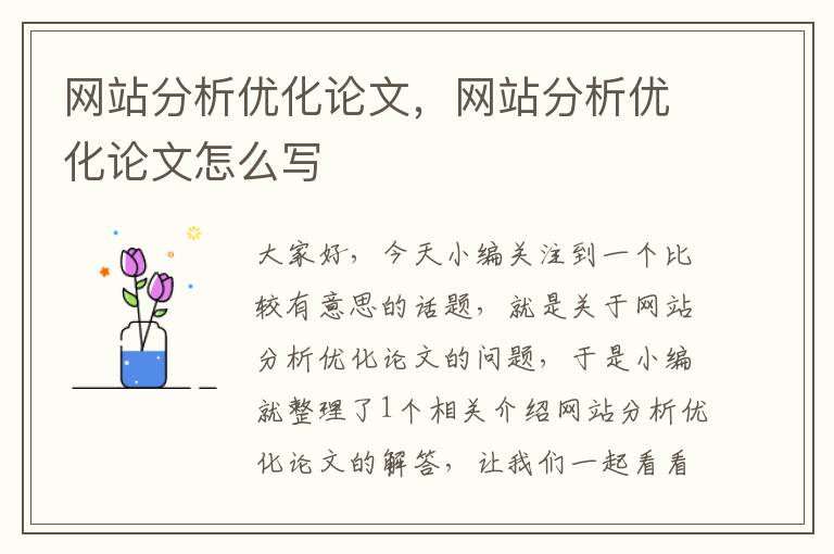 网站分析优化论文，网站分析优化论文怎么写