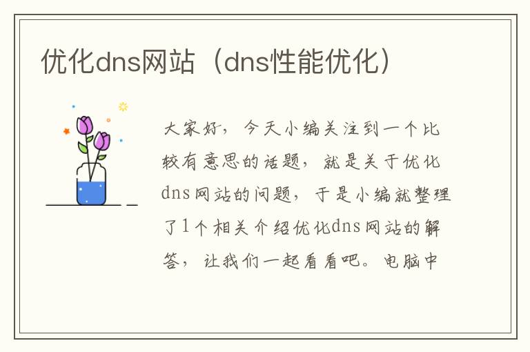 优化dns网站（dns性能优化）