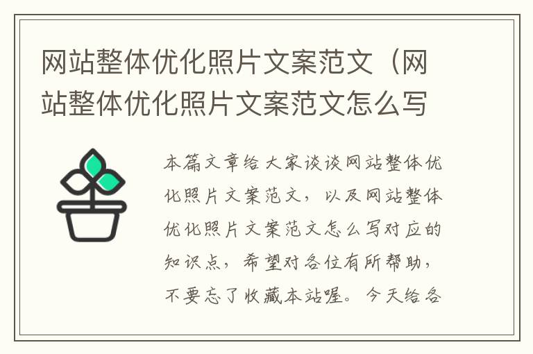 网站整体优化照片文案范文（网站整体优化照片文案范文怎么写）