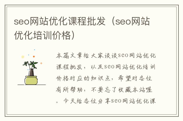 seo网站优化课程批发（seo网站优化培训价格）