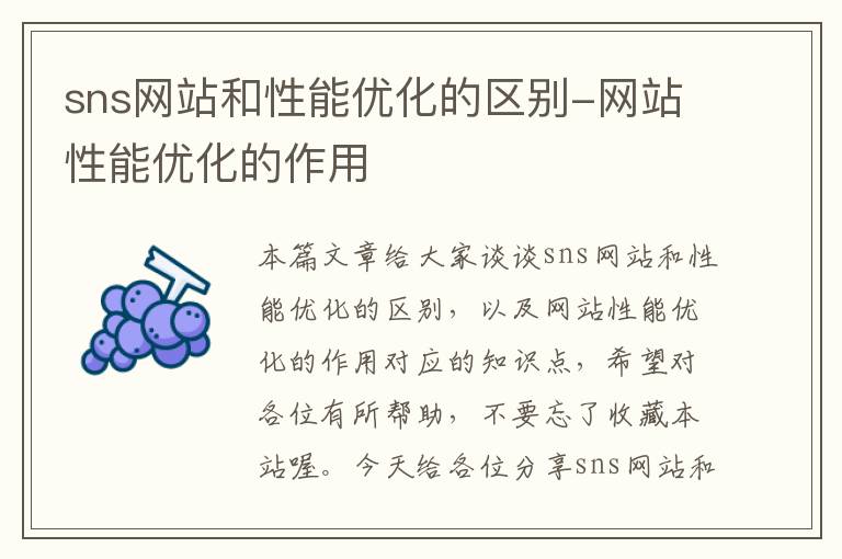 sns网站和性能优化的区别-网站性能优化的作用