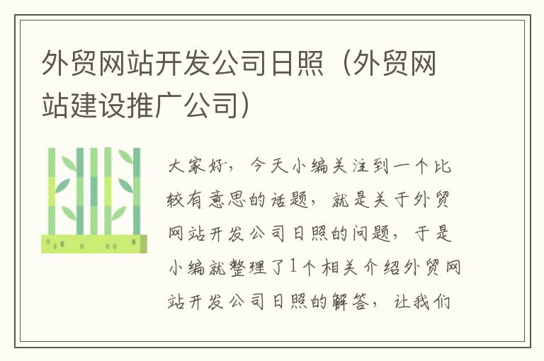 外贸网站开发公司日照（外贸网站建设推广公司）