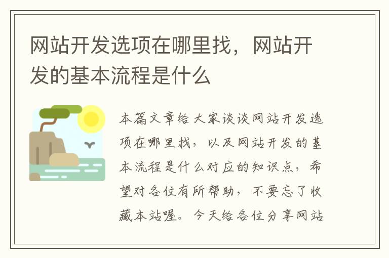 网站开发选项在哪里找，网站开发的基本流程是什么