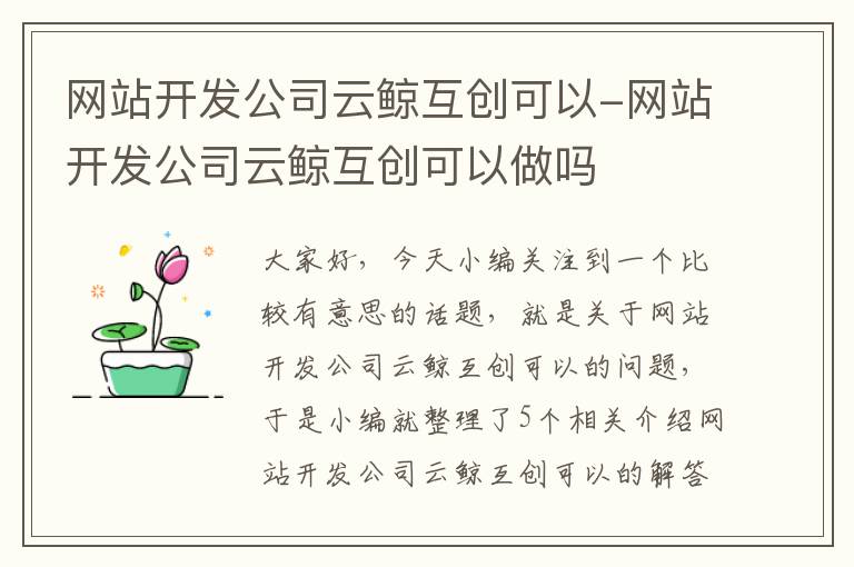 网站开发公司云鲸互创可以-网站开发公司云鲸互创可以做吗