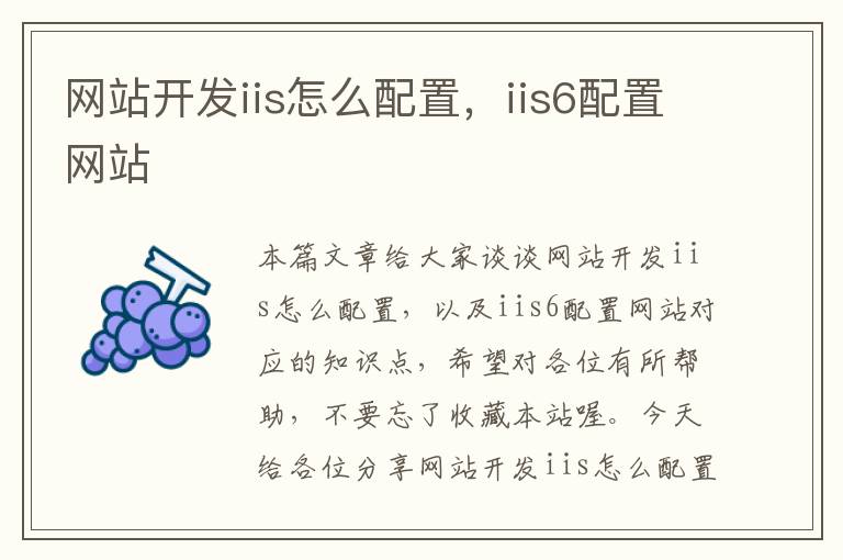 网站开发iis怎么配置，iis6配置网站