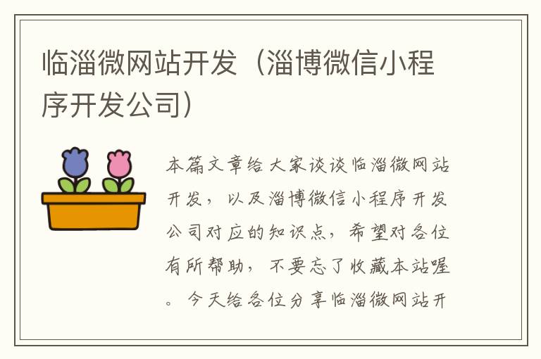 临淄微网站开发（淄博微信小程序开发公司）