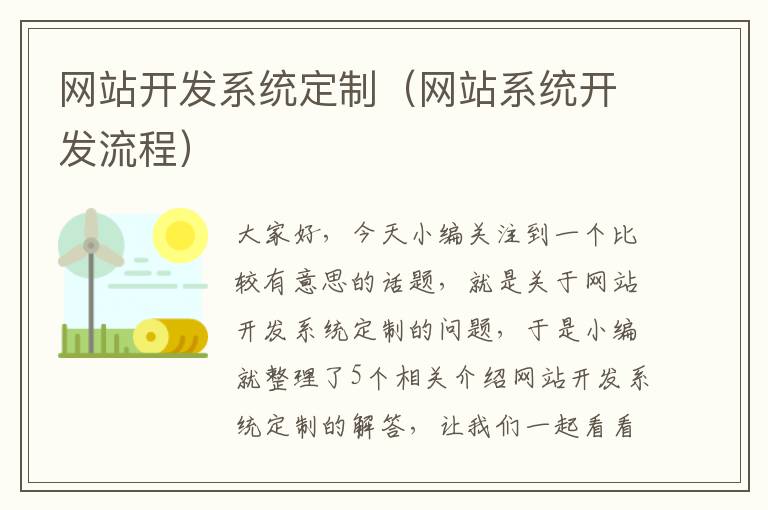 网站开发系统定制（网站系统开发流程）