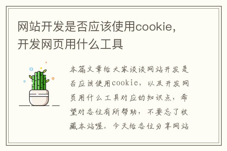 网站开发是否应该使用cookie，开发网页用什么工具