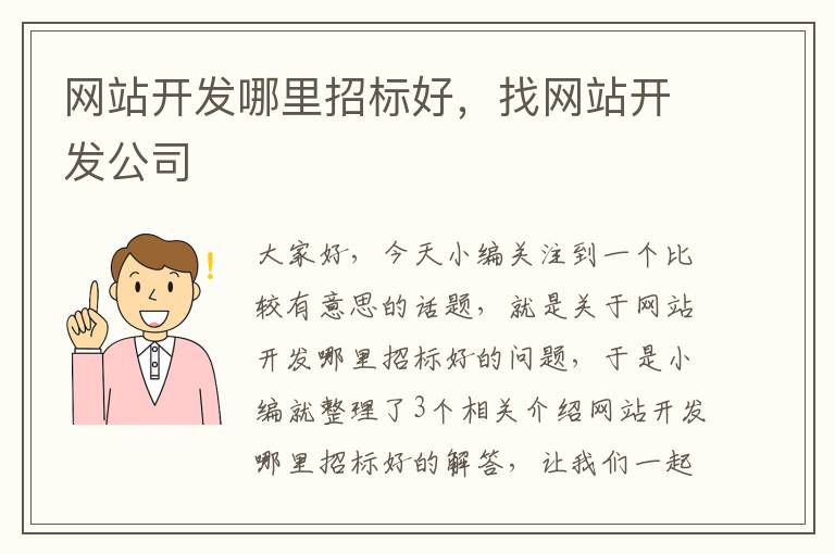 网站开发哪里招标好，找网站开发公司