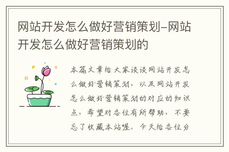 网站开发怎么做好营销策划-网站开发怎么做好营销策划的