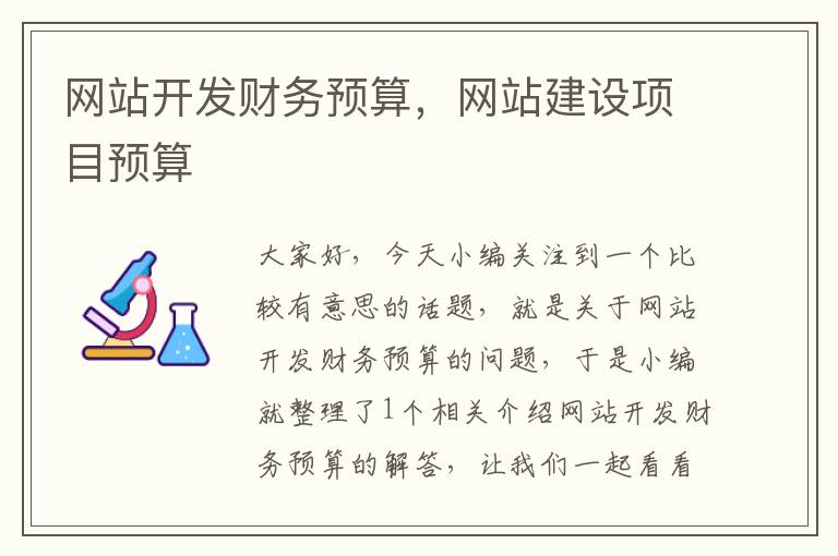 网站开发财务预算，网站建设项目预算