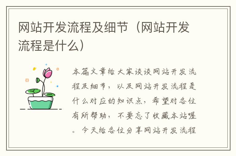 网站开发流程及细节（网站开发流程是什么）