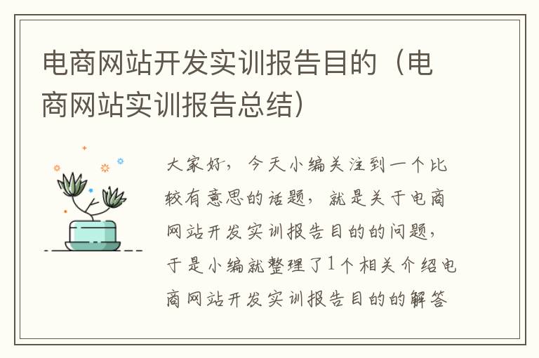 电商网站开发实训报告目的（电商网站实训报告总结）