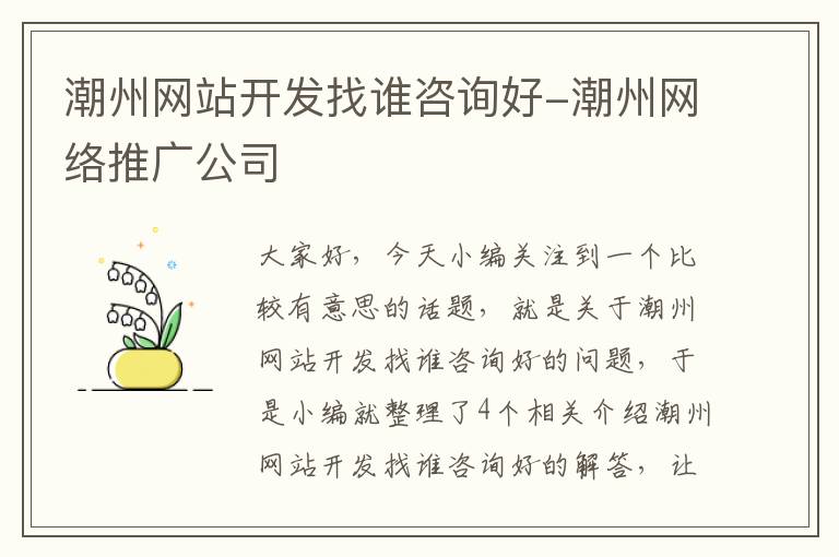 潮州网站开发找谁咨询好-潮州网络推广公司