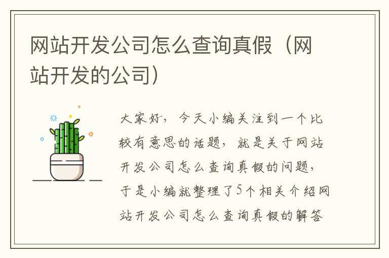 网站开发公司怎么查询真假（网站开发的公司）