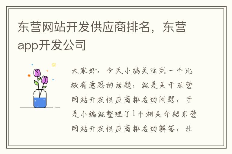 东营网站开发供应商排名，东营app开发公司