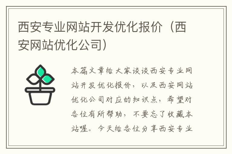 西安专业网站开发优化报价（西安网站优化公司）