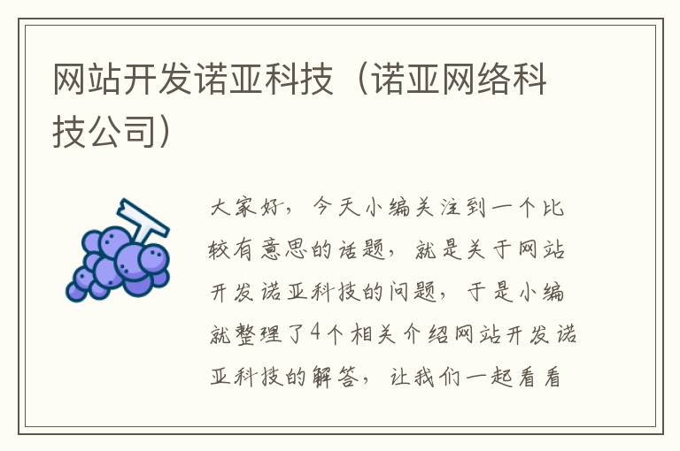 网站开发诺亚科技（诺亚网络科技公司）