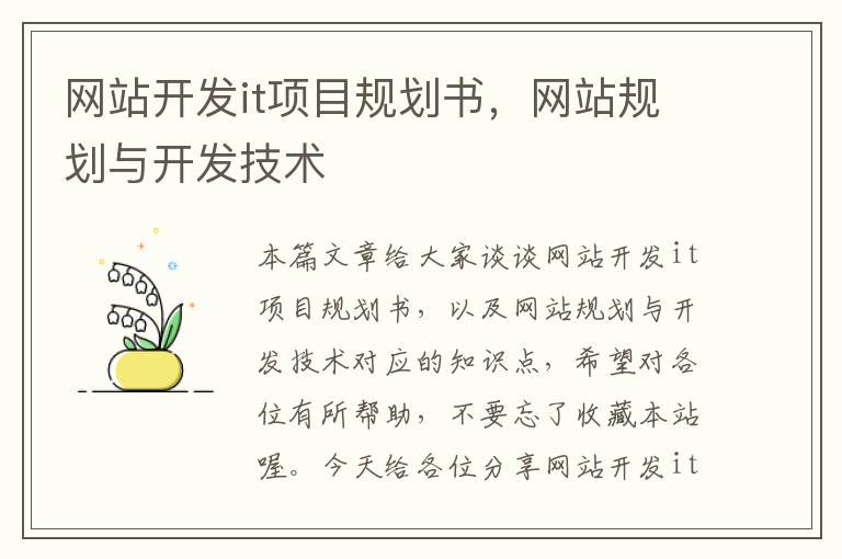 网站开发it项目规划书，网站规划与开发技术