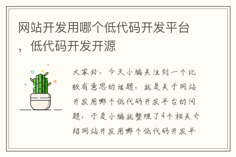 网站开发用哪个低代码开发平台，低代码开发开源