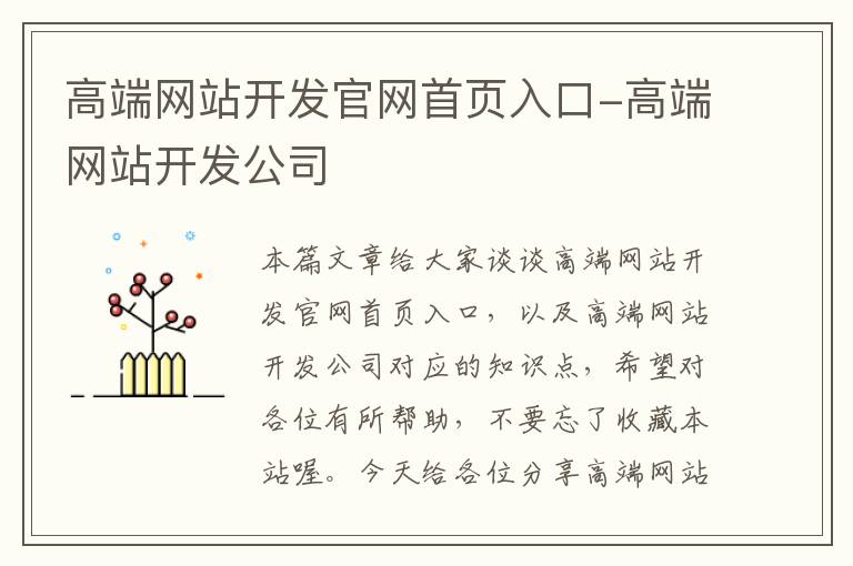 高端网站开发官网首页入口-高端网站开发公司