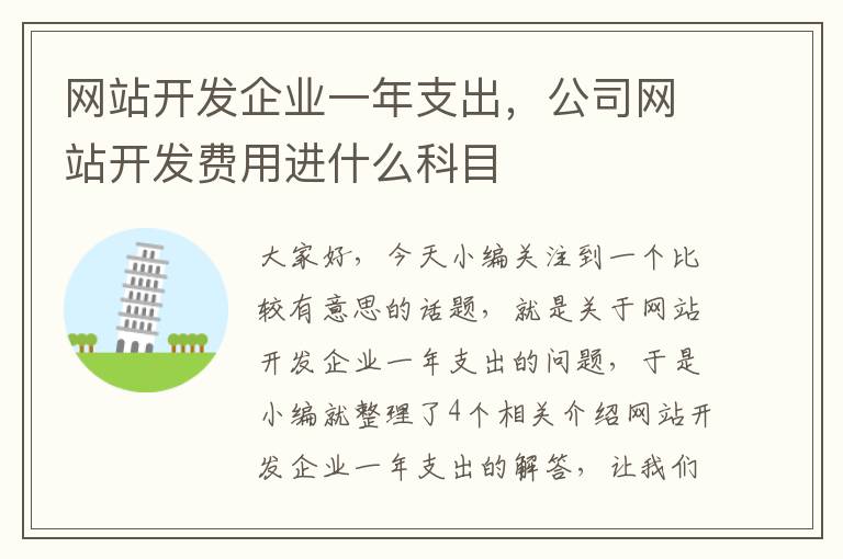 网站开发企业一年支出，公司网站开发费用进什么科目