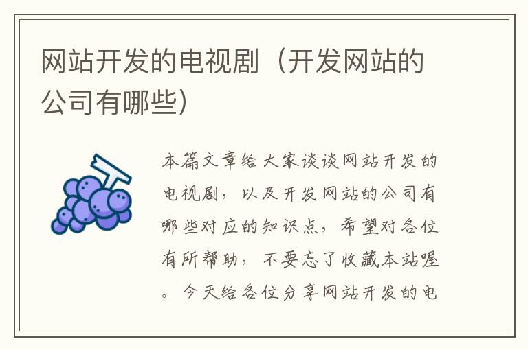 网站开发的电视剧（开发网站的公司有哪些）