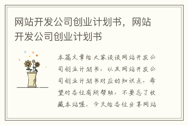 网站开发公司创业计划书，网站开发公司创业计划书